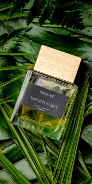 Infinite Force - Image 7