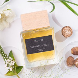 Infinite Force - Image 3